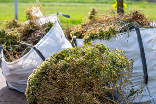 Professional Junk Removal in Oswego, NY